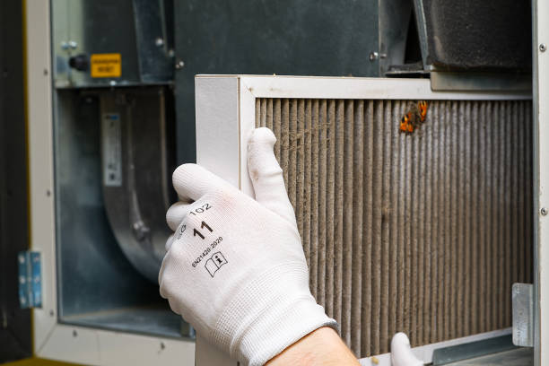 Best Home Air Vent Cleaning  in Winterset, IA